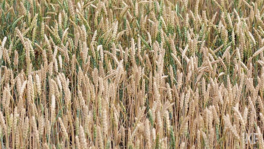 Специалисты уточняют