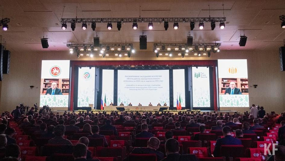 Речь идёт о проектах про патриотическое воспитание граждан и создание условий для самозанятых.