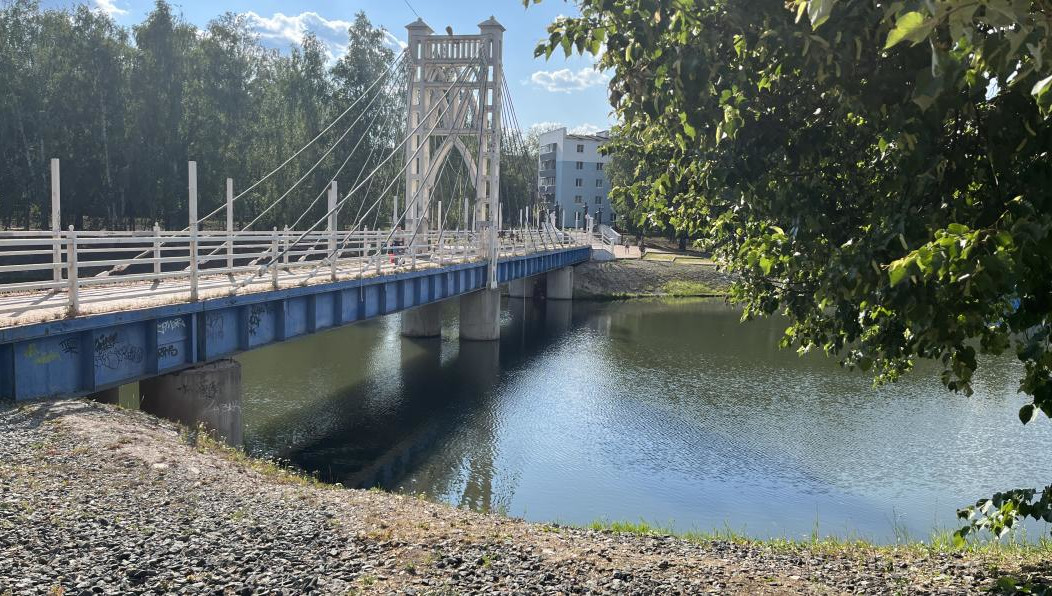 Директор департамента экологии и благоустройства прокомментировал ситуацию вокруг водоема.