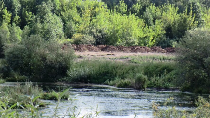 созданную природой за миллионы лет