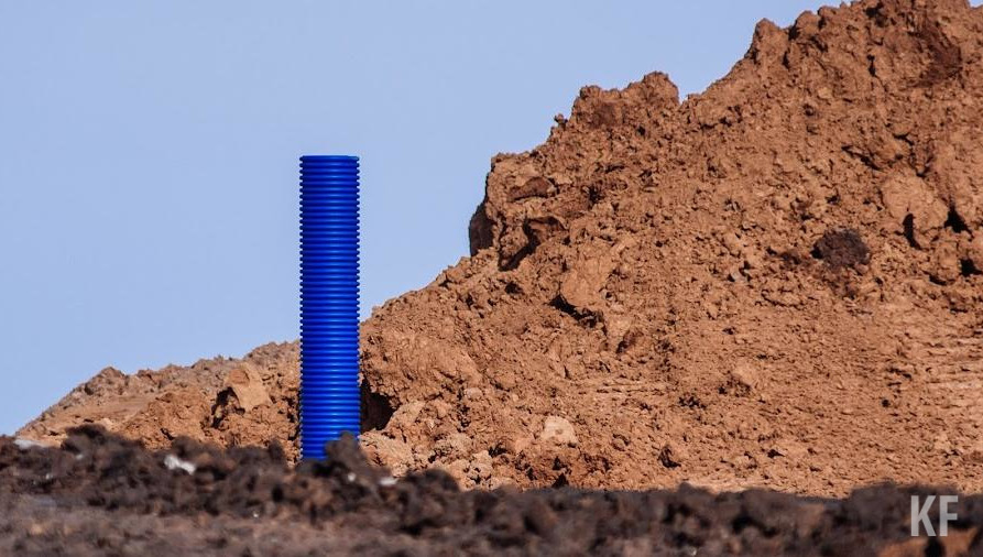 Кражу зафиксировали инспекторы территориального управления ведомства в апреле 2020 года.