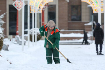 Составлено 784 протокола