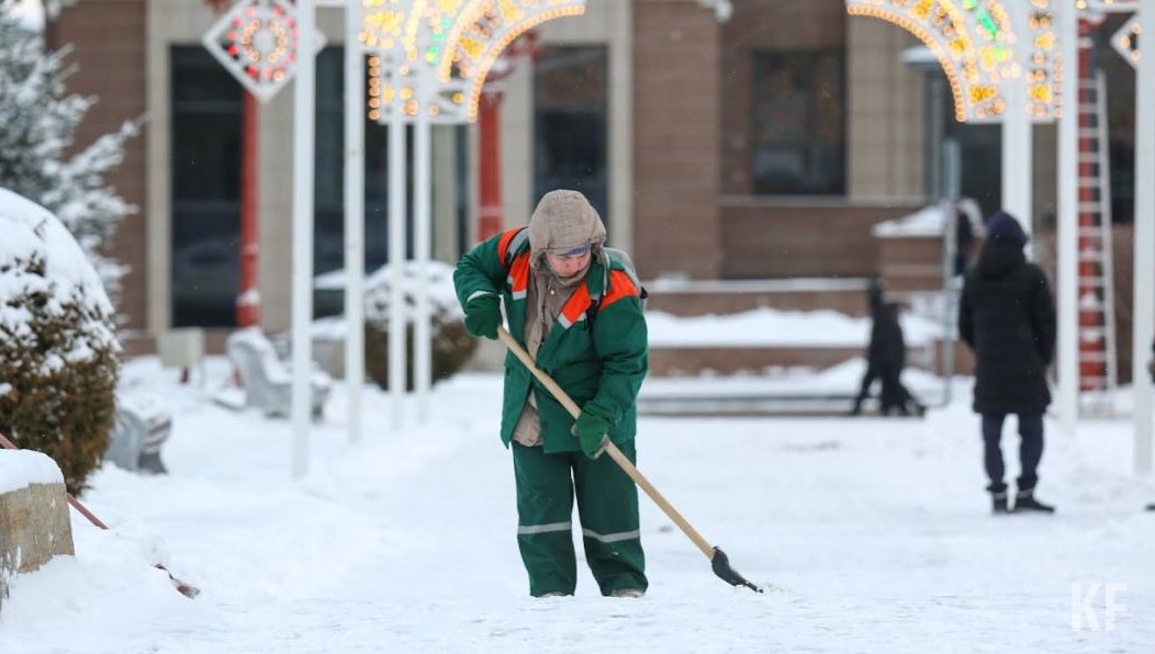 Составлено 784 протокола