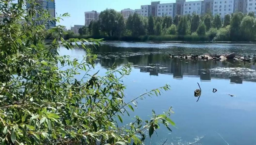Водоем «благоухает» трупным ядом.