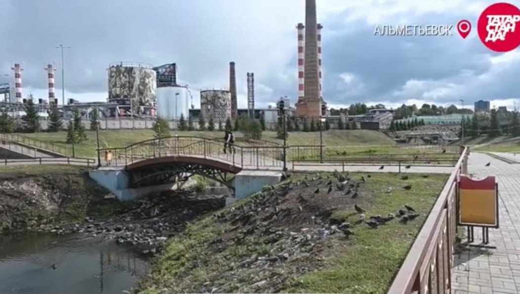 Жители превратили местную достопримечательность в разруху.