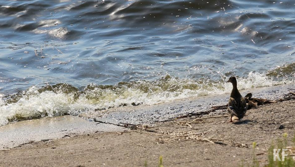 До воды людям приходится идти 200 метров от того места