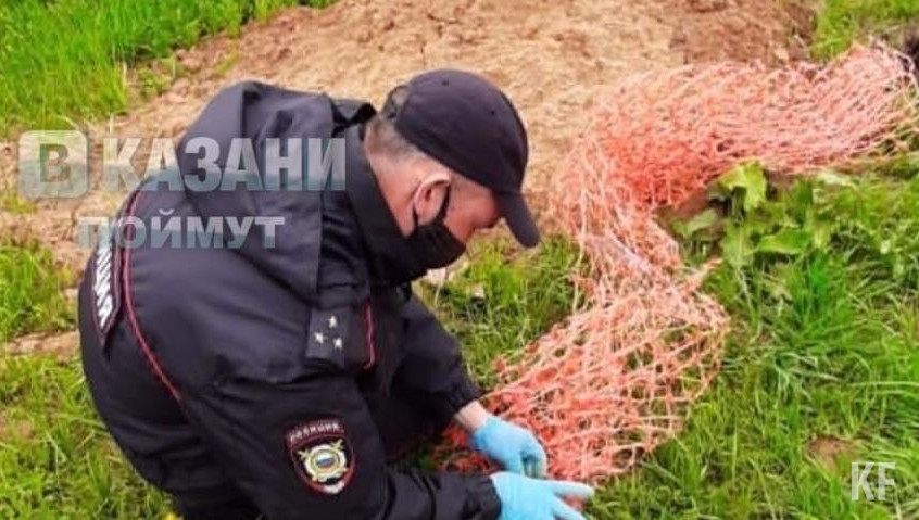 Сотрудники МВД разрезали сетку ножницами и отпустили животное.