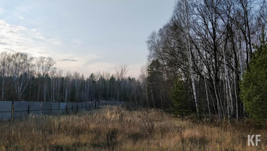 Владельцам участков направят соглашения о выкупе.