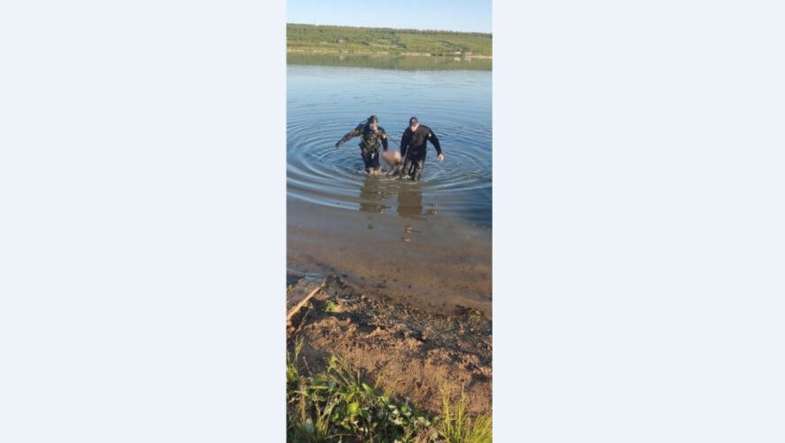 В данном водоеме купание запрещено.