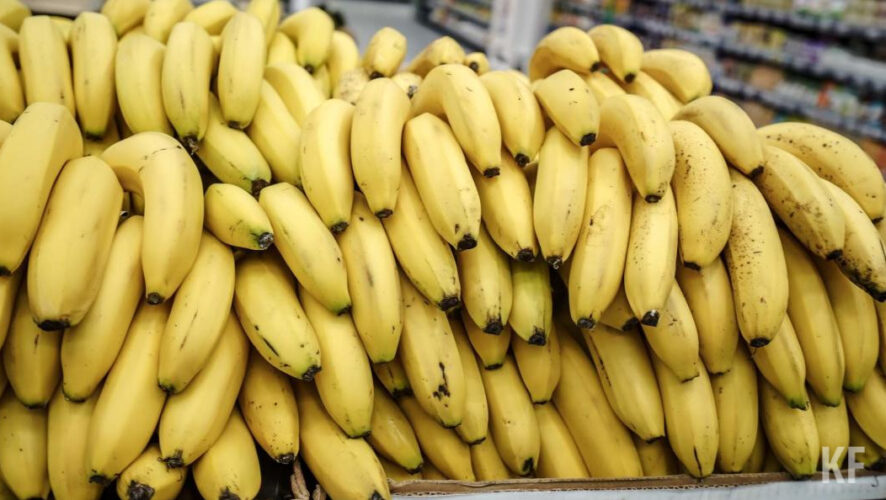 Цена на бананы бьет все рекорды. В чем причина: мутировавший грибок