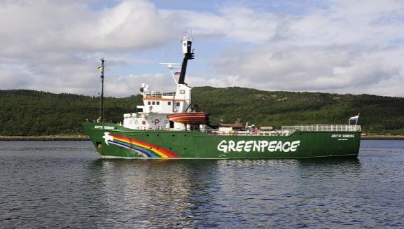 Изучение материалов показало