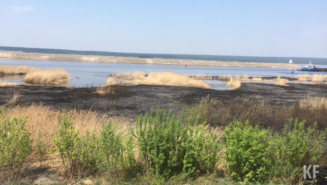 На территории полыхала трава.