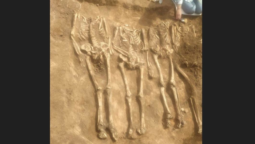 Останки заметили рядом с деревней Байсарово.