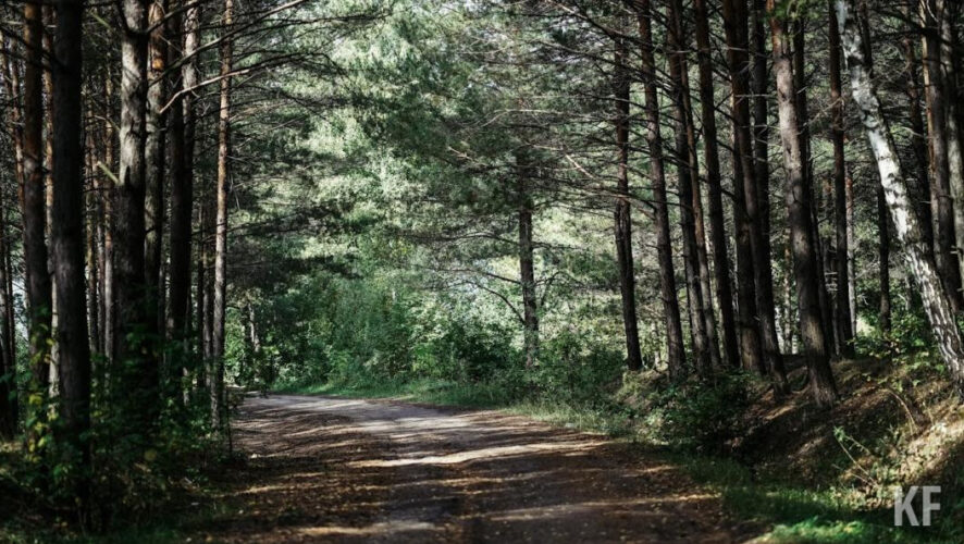 Жителей попросили воздержаться от пикников и посиделок на природе.