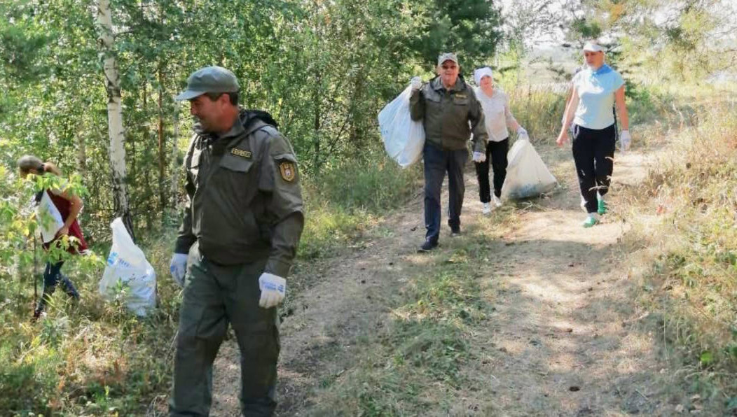 На территории убрали мусор.