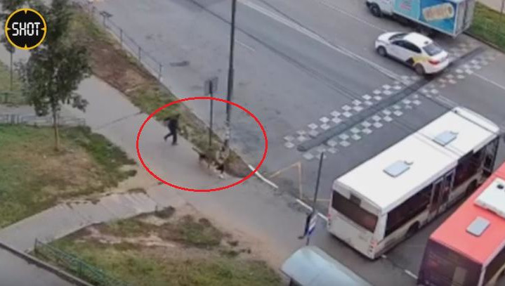 Хозяин собаки не спешил помочь 13-летней девочке.