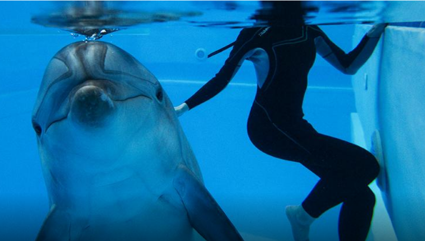 Законопроект уже поддержали члены профильного комитета.