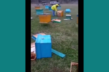 Теперь пострадавшим пчеловодам придется чинить кучу разломанных пчелиных домиков.