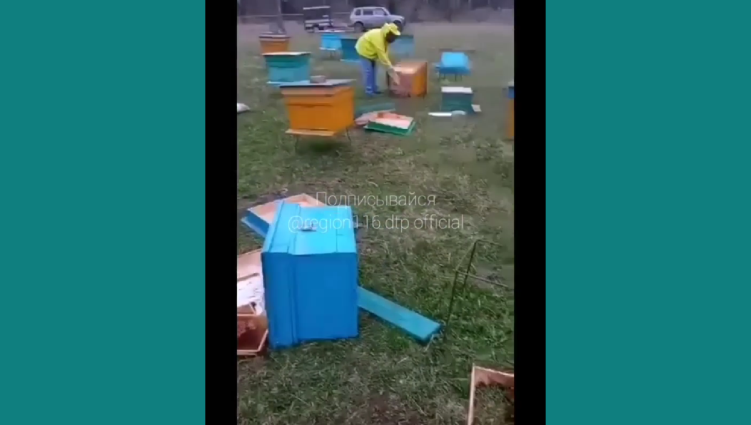 Теперь пострадавшим пчеловодам придется чинить кучу разломанных пчелиных домиков.