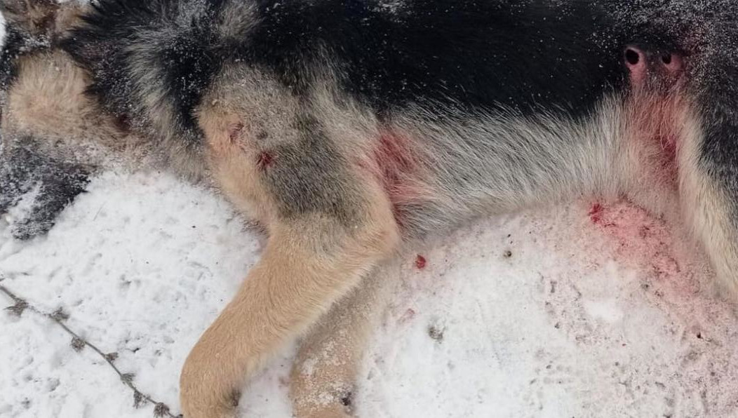 Жители города возмущаются