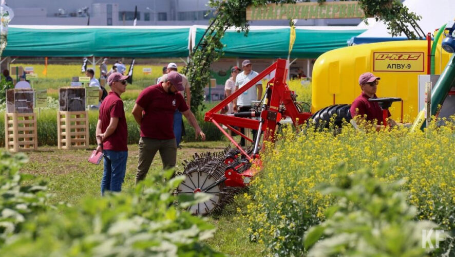 Некоторые садовые товарищества Татарстана освоили коллективное приобретение или лизинг оборудования