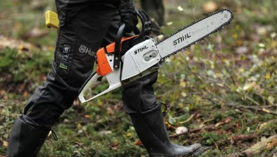 Штраф от трех до четырех тысяч рублей за одно растение можно получить