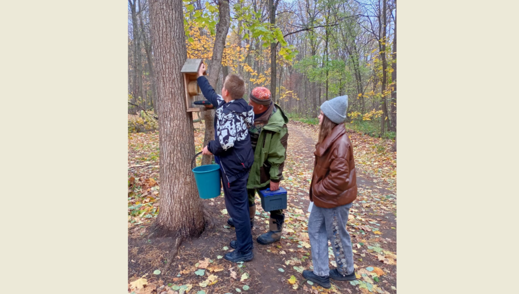 Такие укрытия нужны животным для отдыха и спасения от морозов.