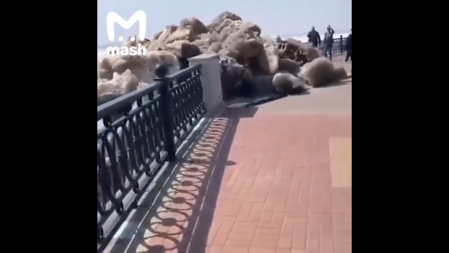 Прокуратура уже начала проверку после инцидента.