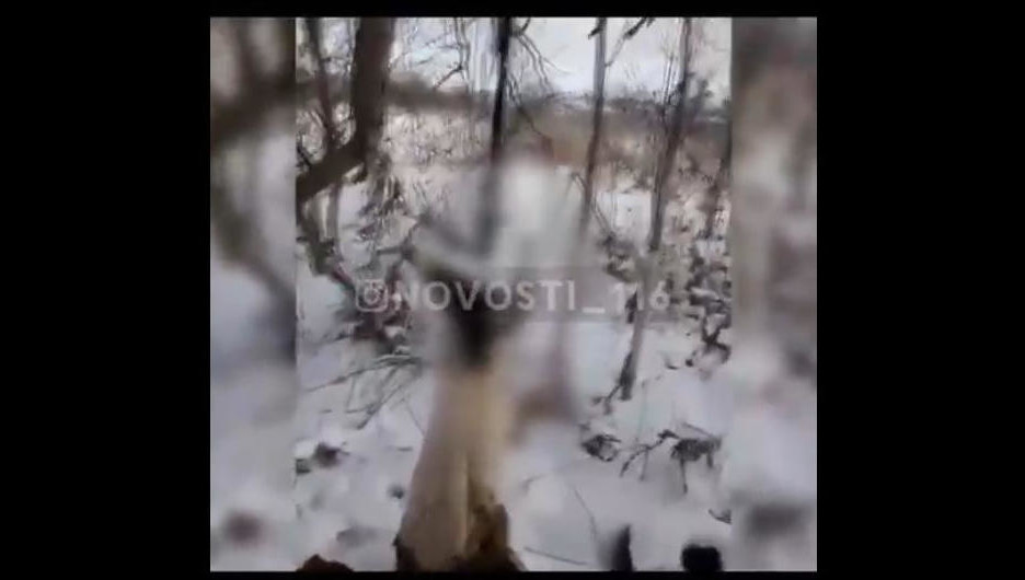 Мужчинам грозит до пяти лет лишения свободы.