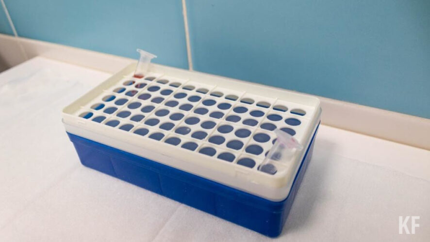 Плазму перелили тяжелобольным ковидным пациентам.