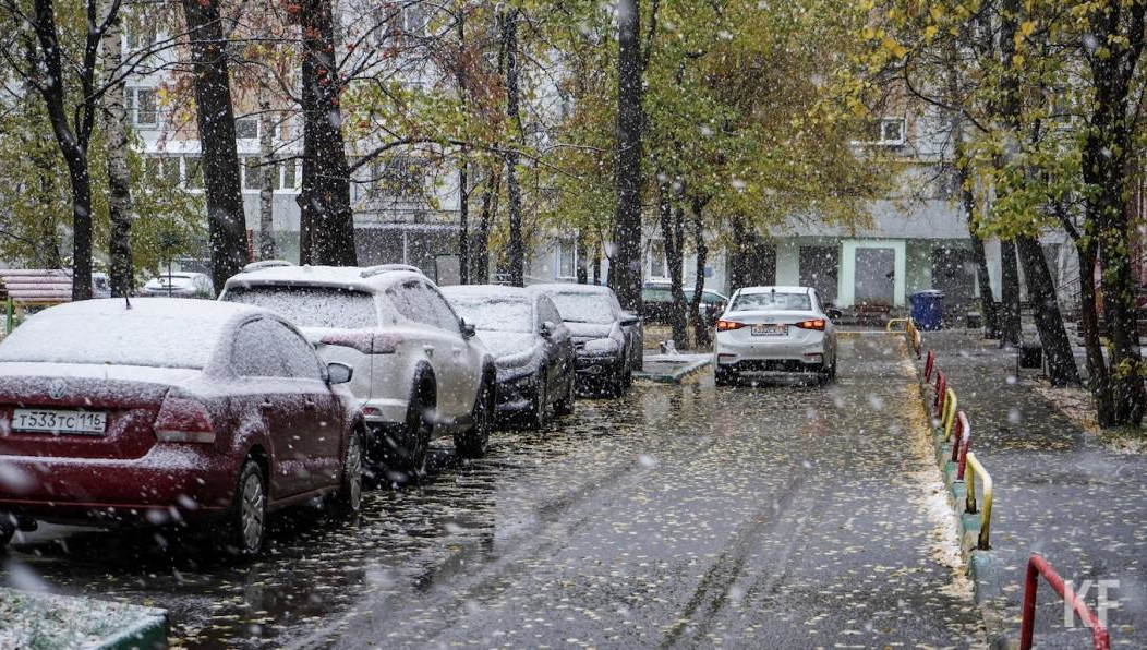 Днем воздух прогреется до +12 градусов.