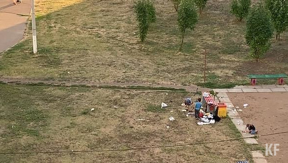 Очевидцы снимают их поведение на видео и &nbsp;выкладывают в соцсети.