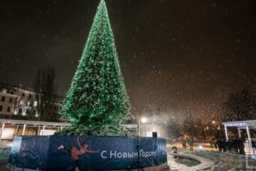 Искусственные ёлки стали самыми дорогими новогодними товарами в столице Татарстана: их средняя цена составила 3600 рублей – на 11