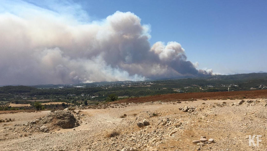 Тем не менее