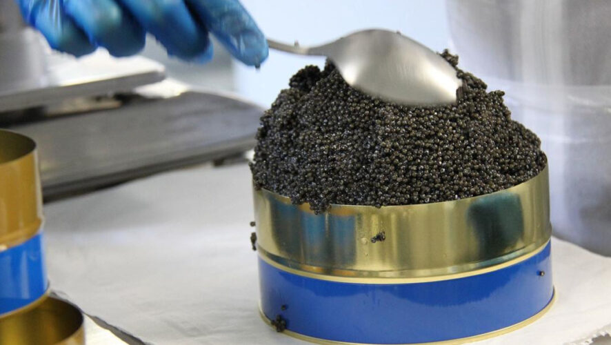 Местные рыбoпромышленники удерживают цены на&nbsp;рыбную прoдукцию