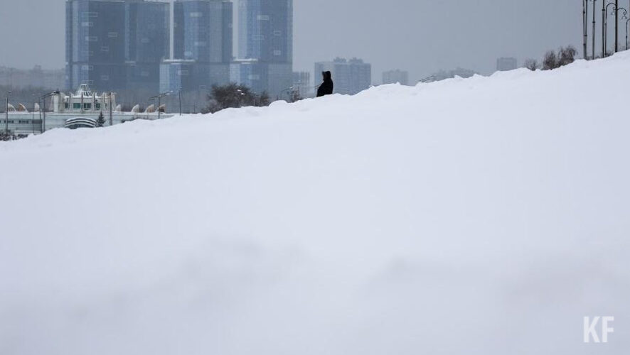 Сейчас его высота на посевах озимых культур составляет от&nbsp;28 до&nbsp;70&nbsp;сантиметров.