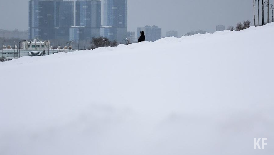 Сейчас его высота на посевах озимых культур составляет от 28 до 70 сантиметров.