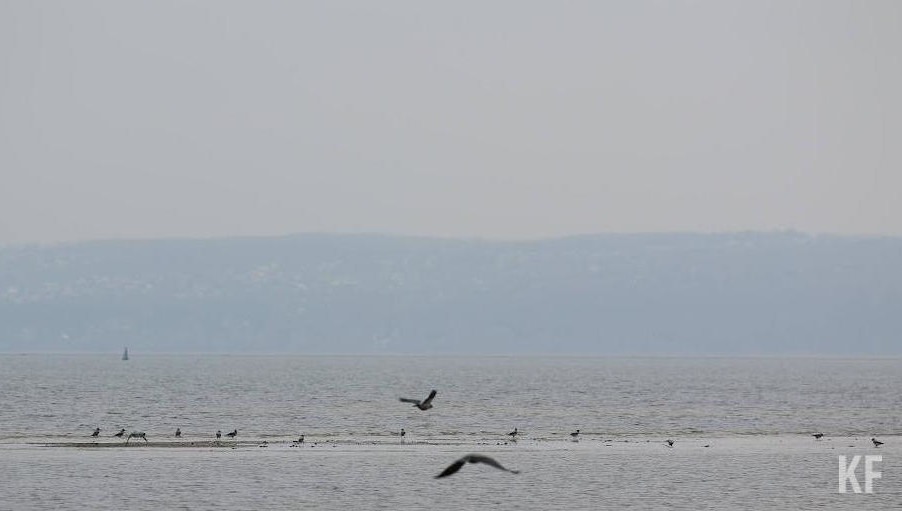 Всего же с начала года страна провела 10 испытаний вооружения.