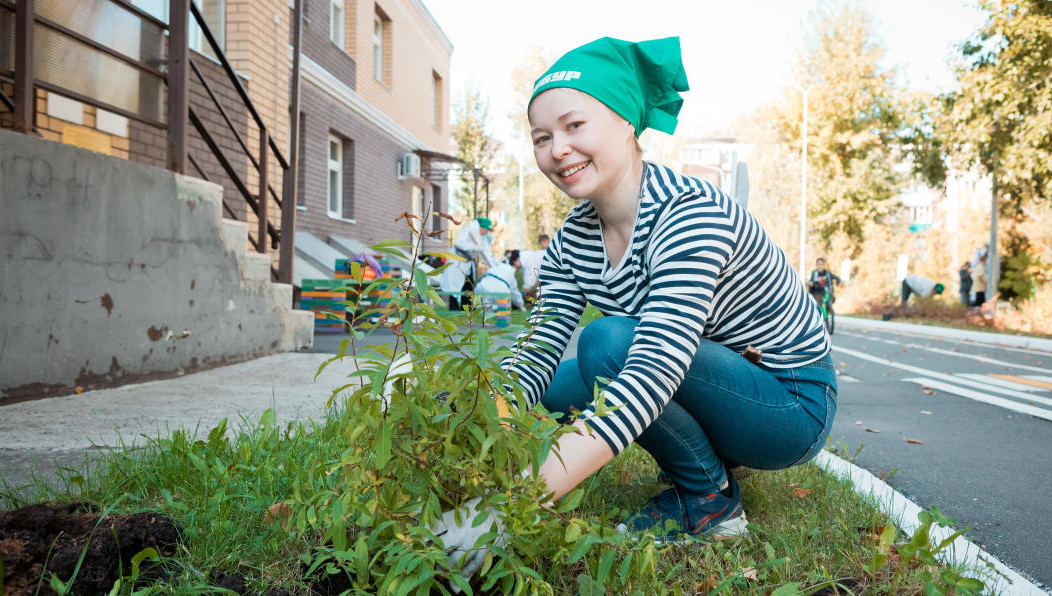 Территория детских садов №101 и №80 пополнится кленами