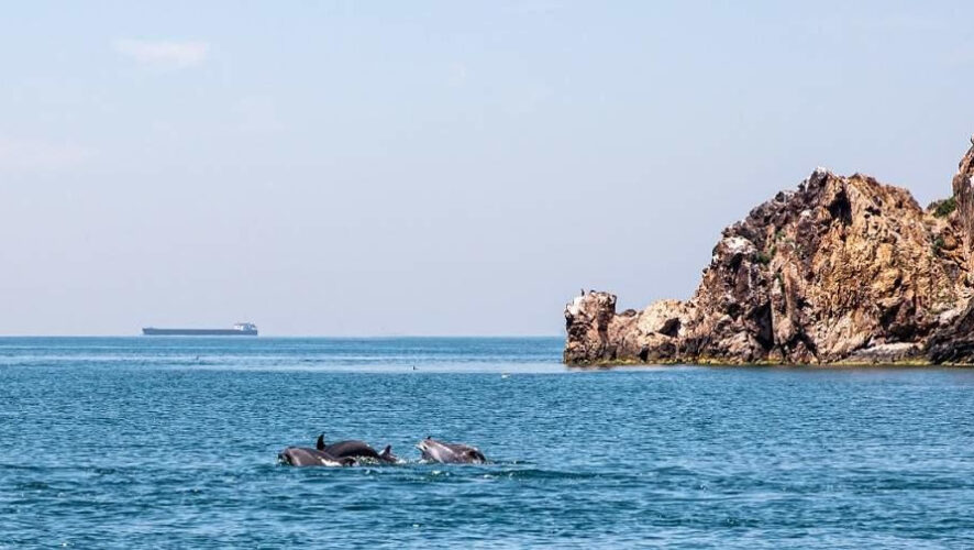 Океанолог заявил