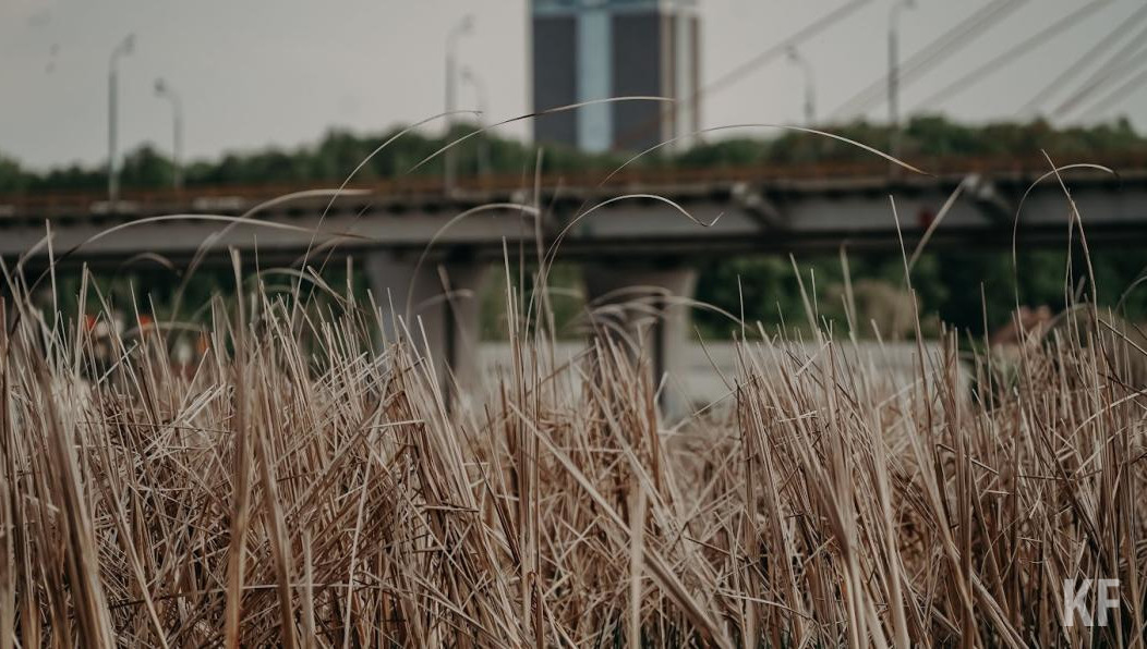 Город находится в антилидерах по Татарстану по горению сухостоя