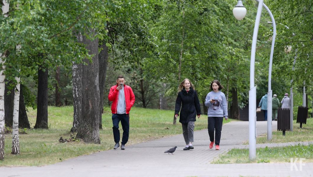 В местах отдыха поставят новые архитектурные формы