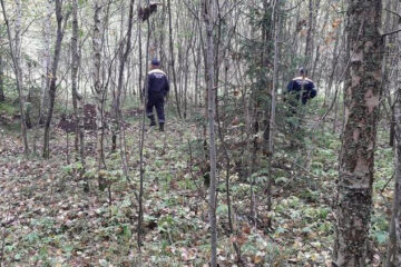 50-летняя жительница республики с двумя дочерьми восемнадцати и девяти лет отправились в лес около Богатых Сабов