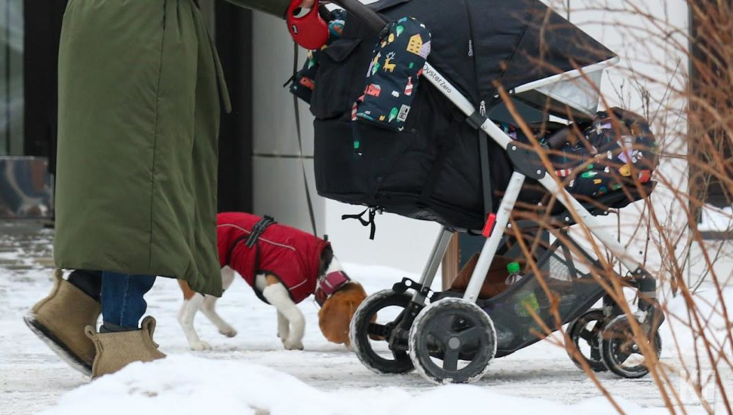 Всего по национальному проекту «Демография» выплатили свыше 3