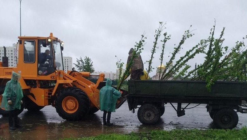 Посадка идет несмотря на непогоду.