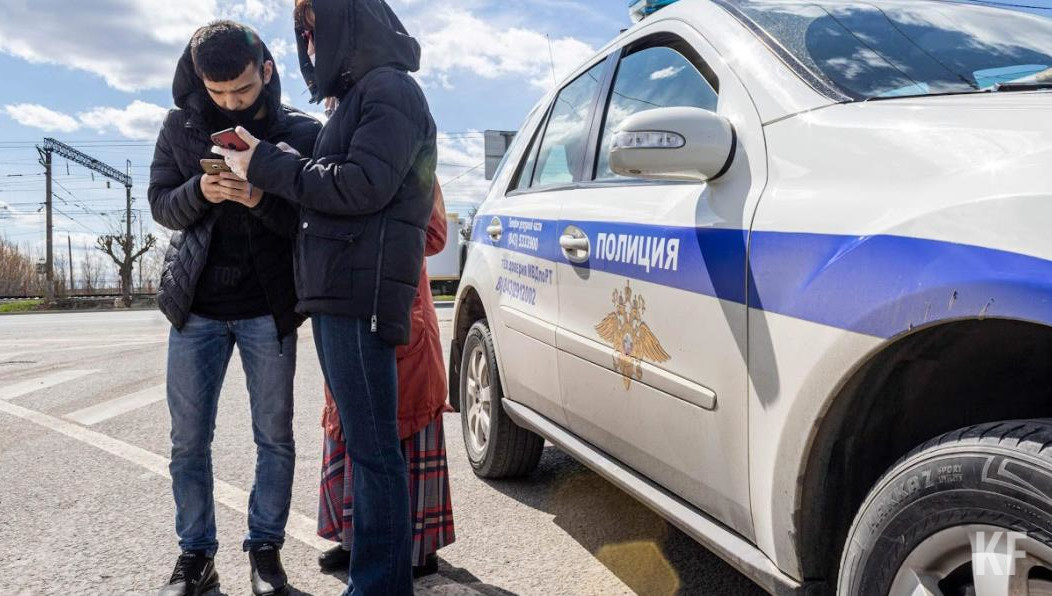 Животное погибло на месте.