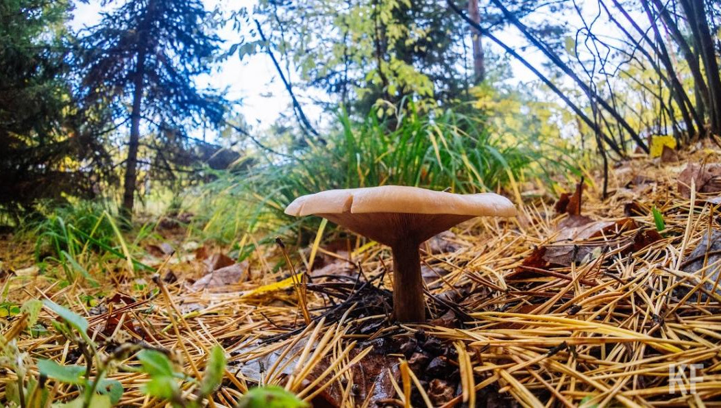 За сутки спасатели выезжали на поиски дважды.