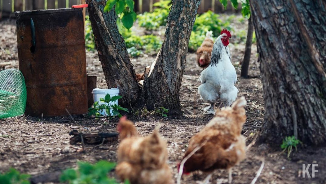 Главы предприятий должны выделить технику для ликвидации последствий.