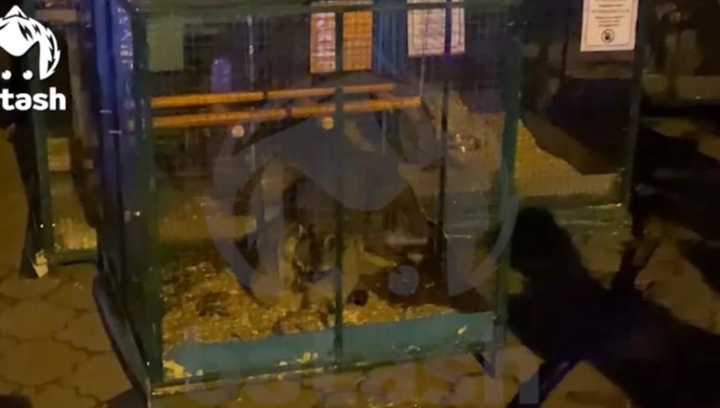 Клетки вынесли через парковку на улицу спустя два с половиной часа после начала возгорания - из секции