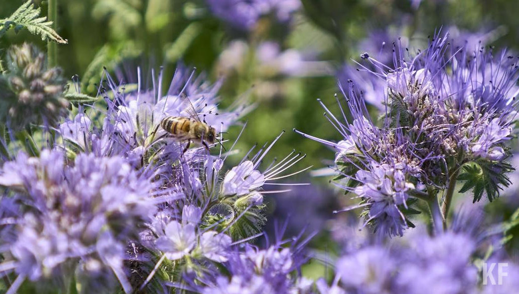 По данным республиканского Минздрава